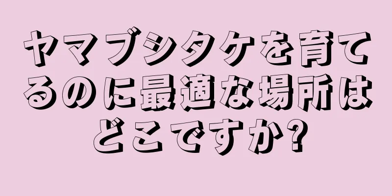 ヤマブシタケを育てるのに最適な場所はどこですか?