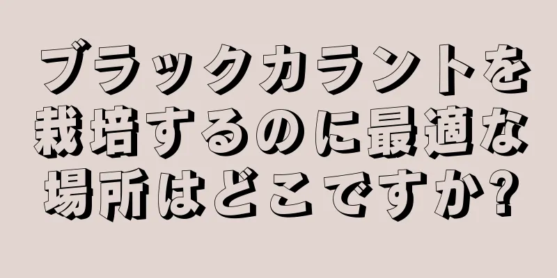 ブラックカラントを栽培するのに最適な場所はどこですか?