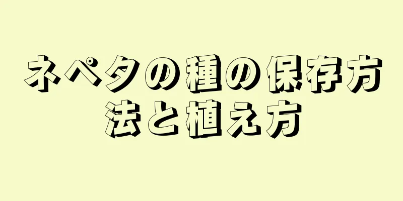 ネペタの種の保存方法と植え方