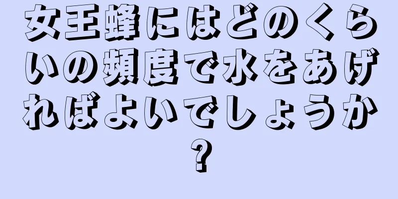 女王蜂にはどのくらいの頻度で水をあげればよいでしょうか?