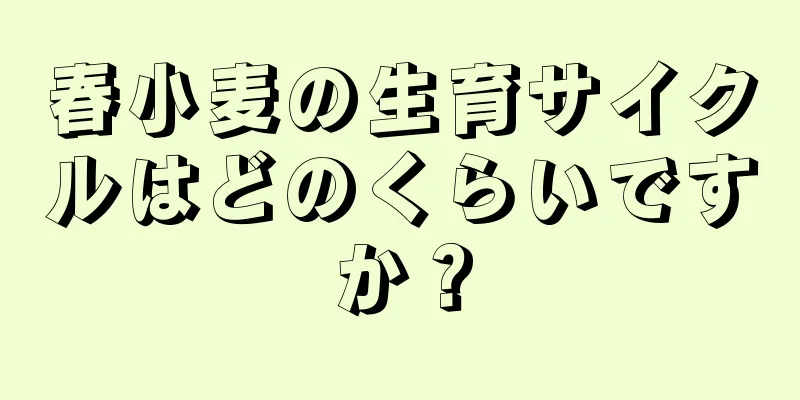 春小麦の生育サイクルはどのくらいですか？