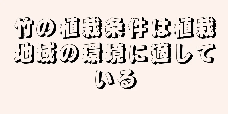 竹の植栽条件は植栽地域の環境に適している