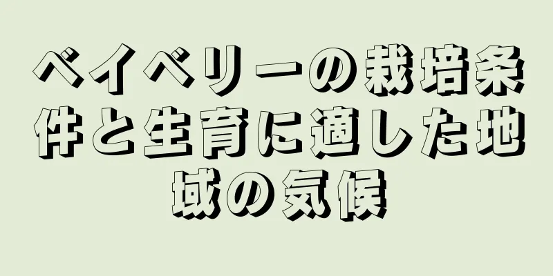 ベイベリーの栽培条件と生育に適した地域の気候