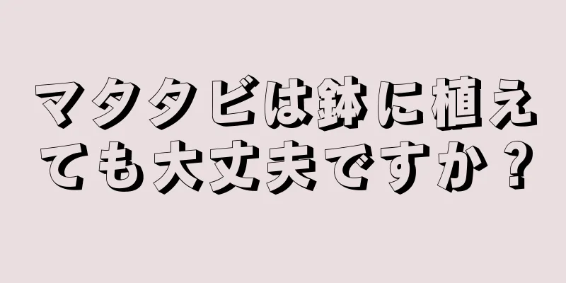 マタタビは鉢に植えても大丈夫ですか？