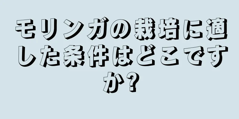 モリンガの栽培に適した条件はどこですか?
