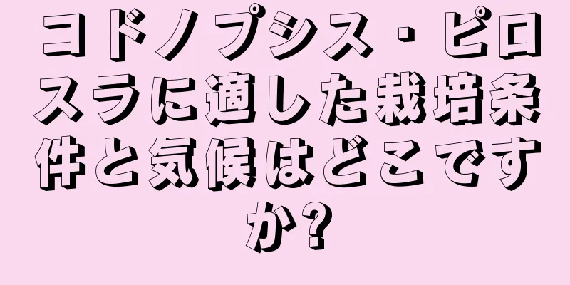 コドノプシス・ピロスラに適した栽培条件と気候はどこですか?