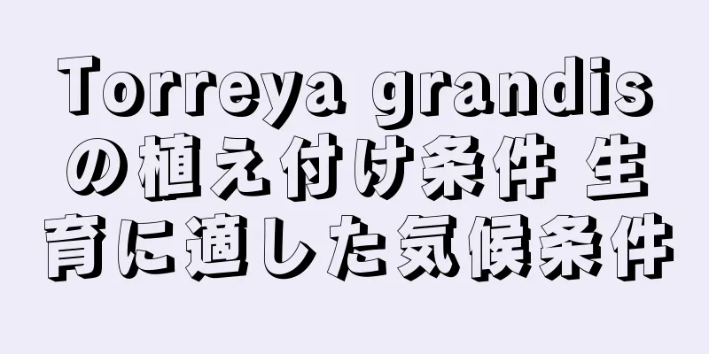 Torreya grandisの植え付け条件 生育に適した気候条件