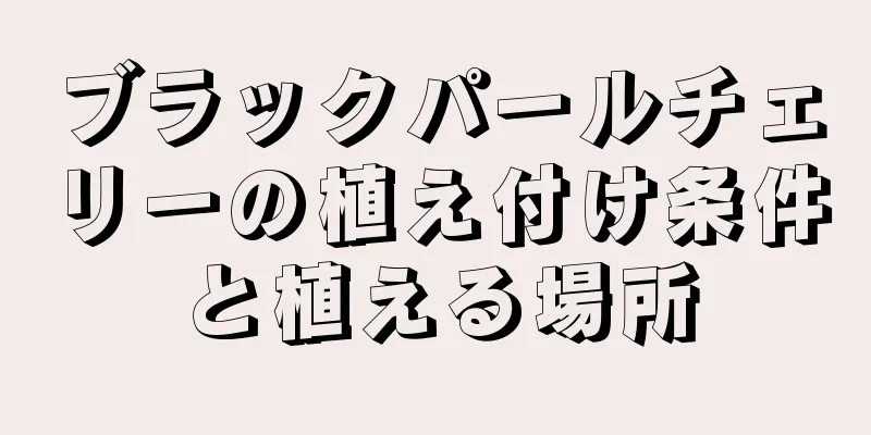 ブラックパールチェリーの植え付け条件と植える場所