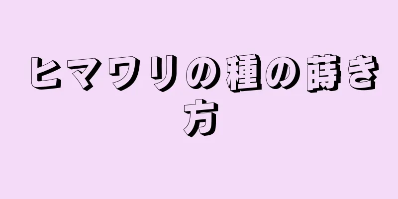 ヒマワリの種の蒔き方