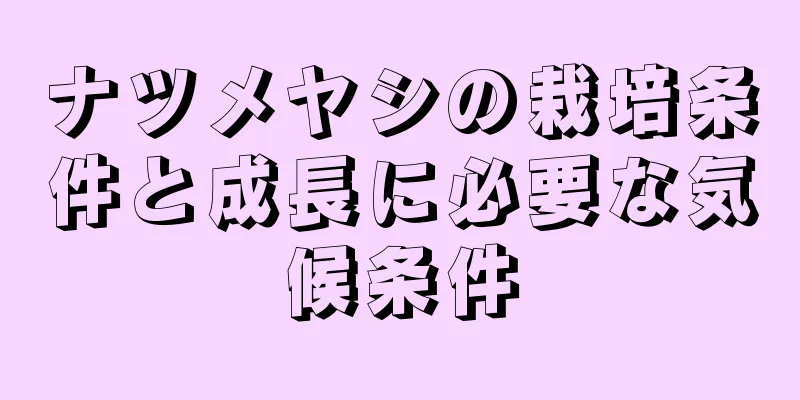 ナツメヤシの栽培条件と成長に必要な気候条件
