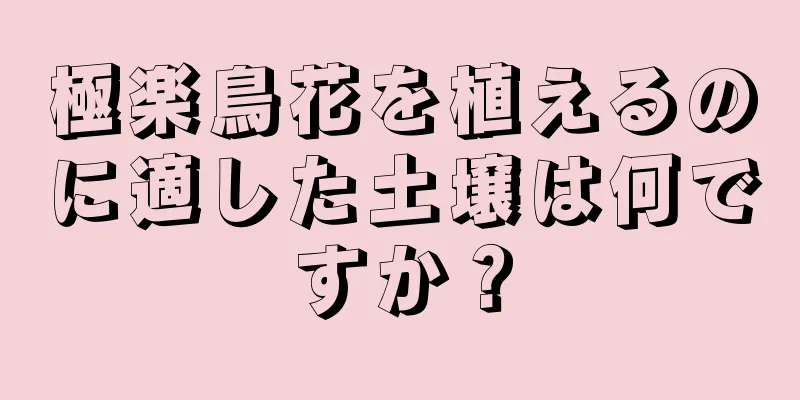 極楽鳥花を植えるのに適した土壌は何ですか？