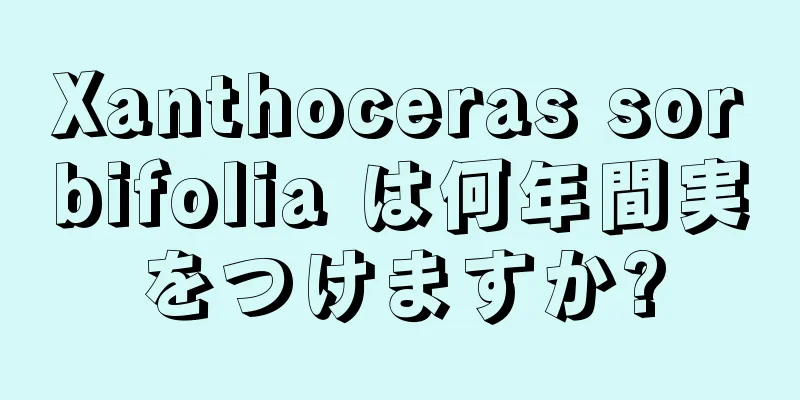 Xanthoceras sorbifolia は何年間実をつけますか?