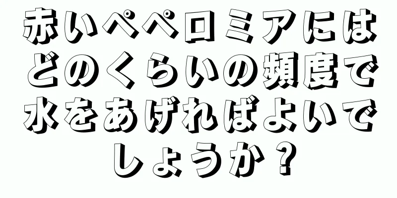 赤いペペロミアにはどのくらいの頻度で水をあげればよいでしょうか？