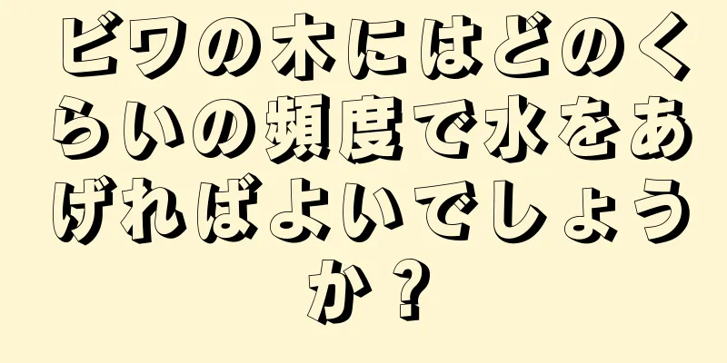 ビワの木にはどのくらいの頻度で水をあげればよいでしょうか？