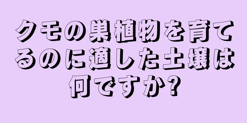 クモの巣植物を育てるのに適した土壌は何ですか?