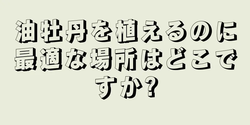 油牡丹を植えるのに最適な場所はどこですか?