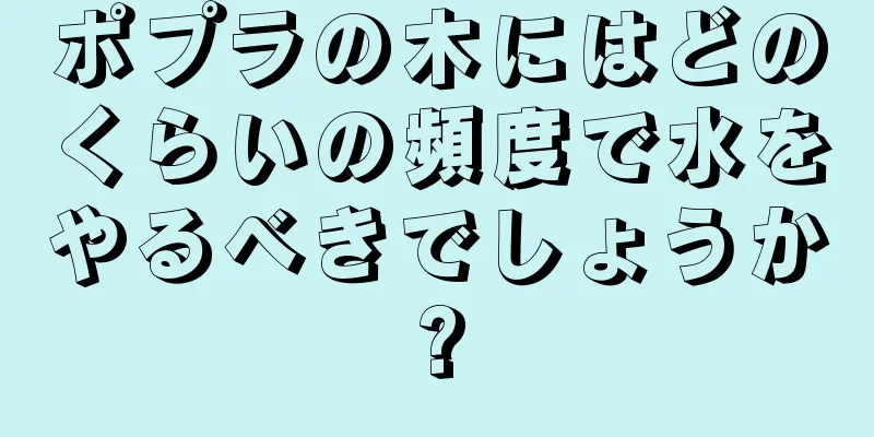 ポプラの木にはどのくらいの頻度で水をやるべきでしょうか?