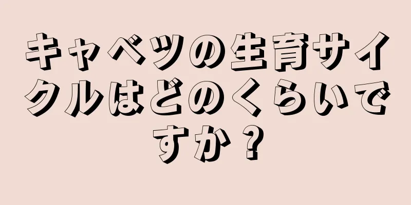 キャベツの生育サイクルはどのくらいですか？