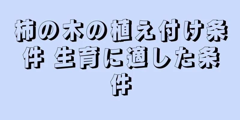 柿の木の植え付け条件 生育に適した条件