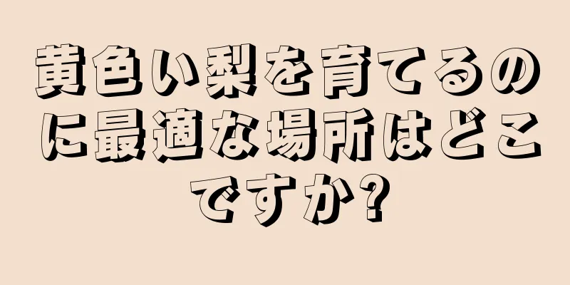 黄色い梨を育てるのに最適な場所はどこですか?