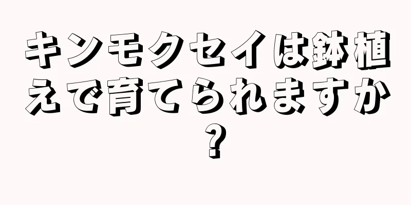 キンモクセイは鉢植えで育てられますか？