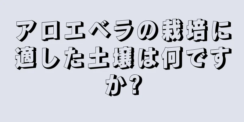 アロエベラの栽培に適した土壌は何ですか?