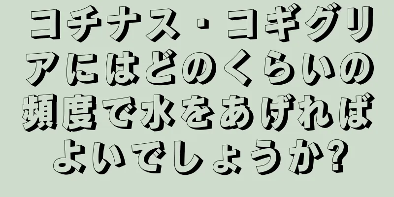 コチナス・コギグリアにはどのくらいの頻度で水をあげればよいでしょうか?