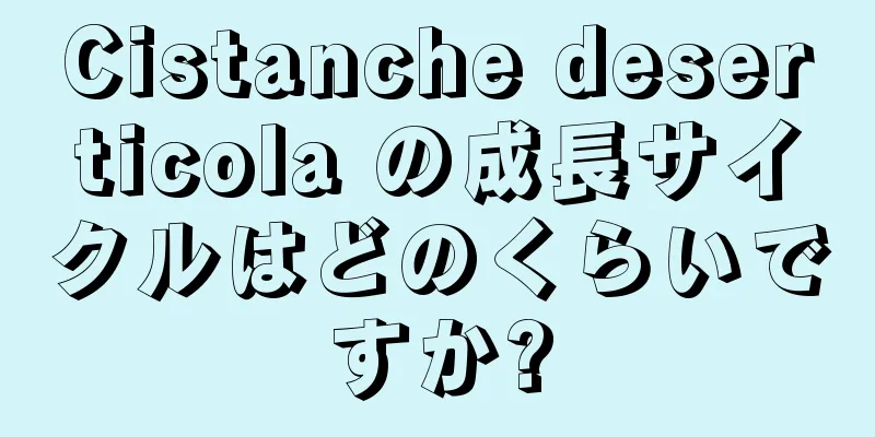 Cistanche deserticola の成長サイクルはどのくらいですか?
