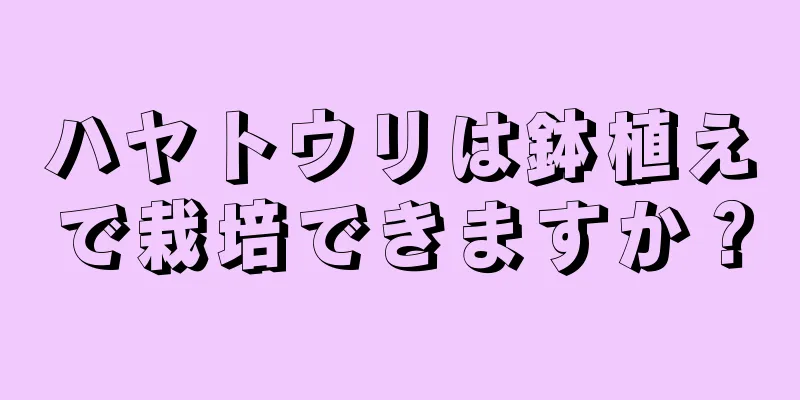 ハヤトウリは鉢植えで栽培できますか？