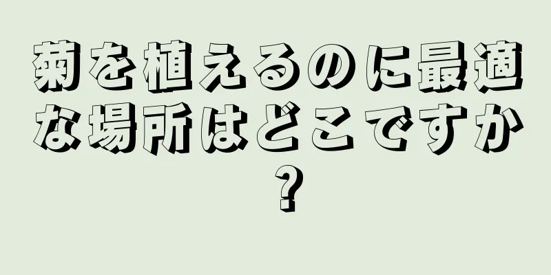 菊を植えるのに最適な場所はどこですか？