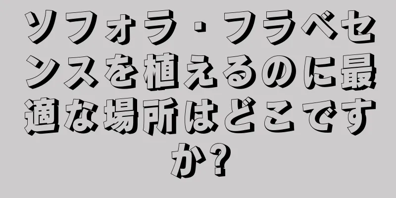 ソフォラ・フラベセンスを植えるのに最適な場所はどこですか?