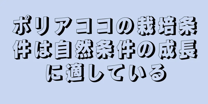 ポリアココの栽培条件は自然条件の成長に適している