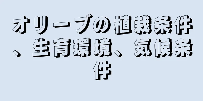 オリーブの植栽条件、生育環境、気候条件