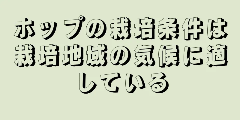 ホップの栽培条件は栽培地域の気候に適している
