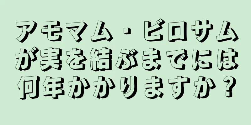 アモマム・ビロサムが実を結ぶまでには何年かかりますか？