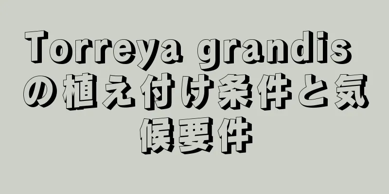 Torreya grandis の植え付け条件と気候要件