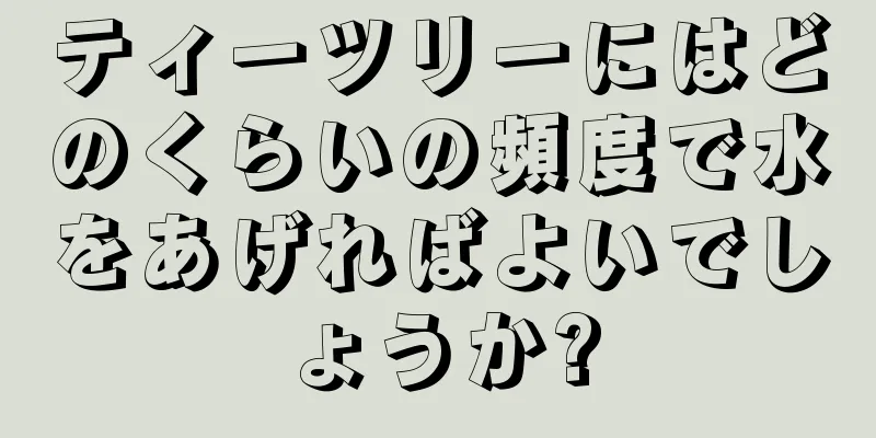ティーツリーにはどのくらいの頻度で水をあげればよいでしょうか?