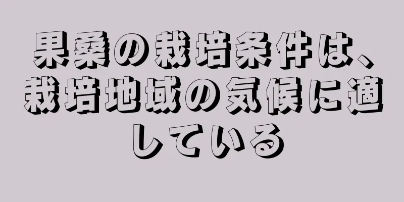 果桑の栽培条件は、栽培地域の気候に適している