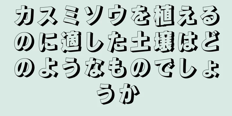 カスミソウを植えるのに適した土壌はどのようなものでしょうか