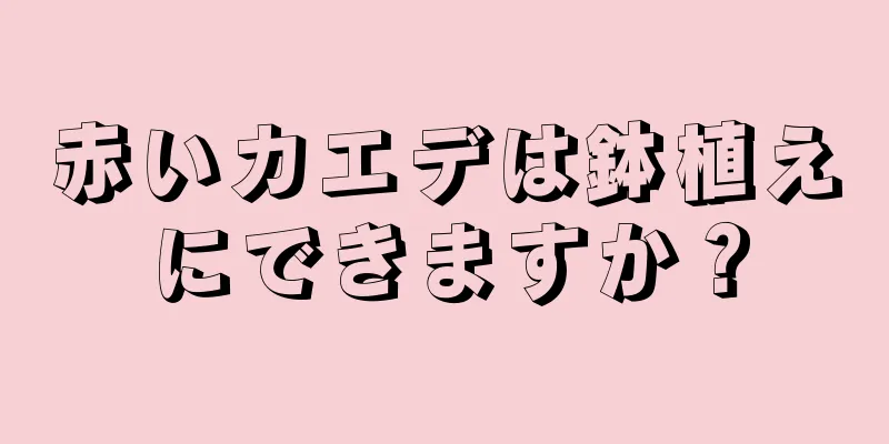 赤いカエデは鉢植えにできますか？