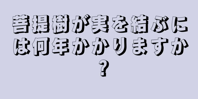 菩提樹が実を結ぶには何年かかりますか？