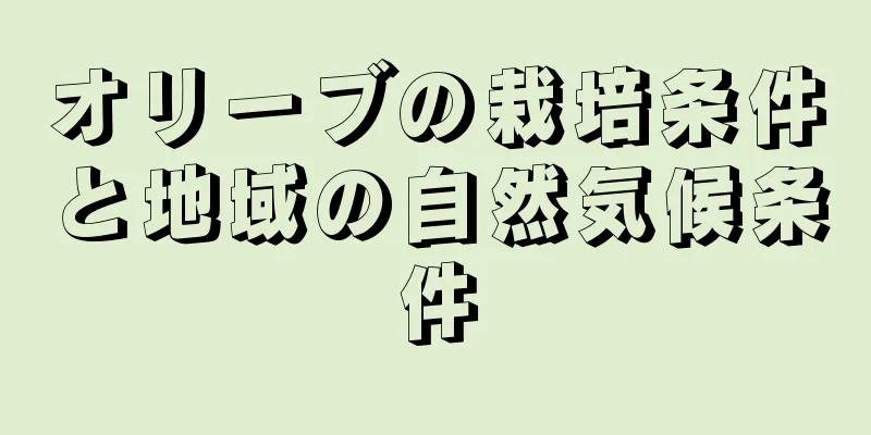 オリーブの栽培条件と地域の自然気候条件