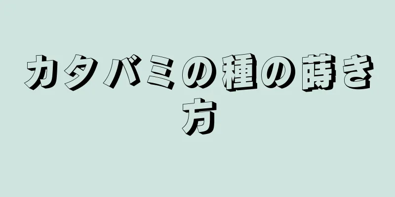 カタバミの種の蒔き方