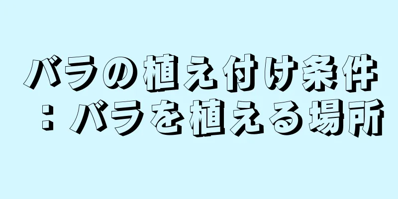 バラの植え付け条件：バラを植える場所
