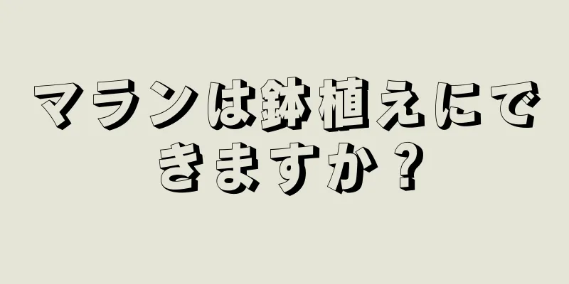 マランは鉢植えにできますか？