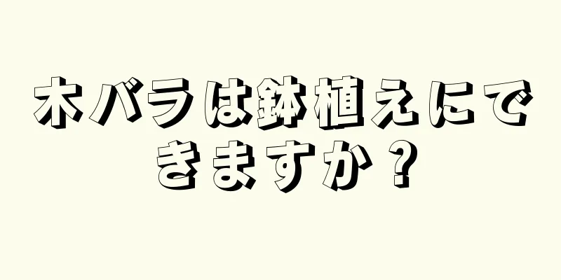 木バラは鉢植えにできますか？