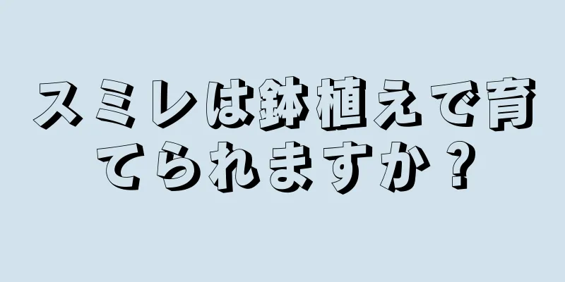 スミレは鉢植えで育てられますか？