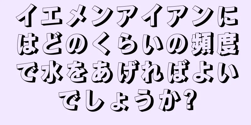 イエメンアイアンにはどのくらいの頻度で水をあげればよいでしょうか?