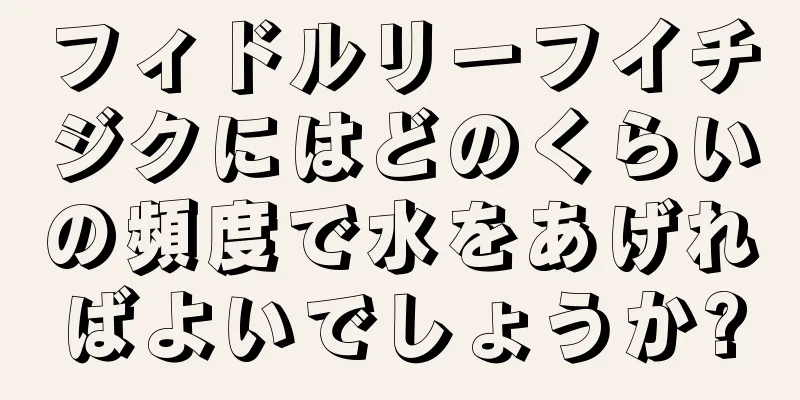 フィドルリーフイチジクにはどのくらいの頻度で水をあげればよいでしょうか?