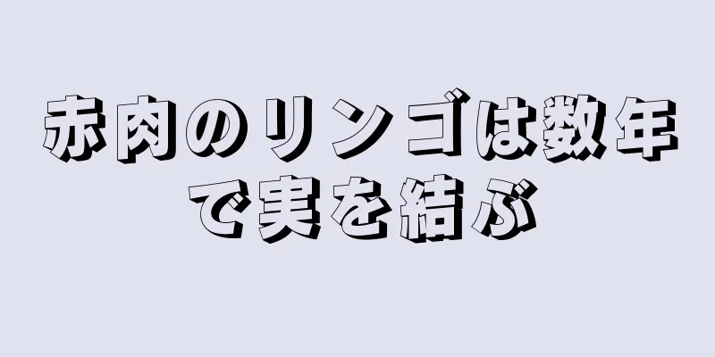 赤肉のリンゴは数年で実を結ぶ
